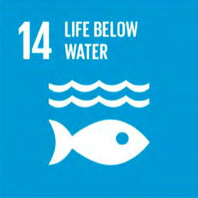 Sustainable Development Goal 14